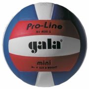 GALA Pro Line Mini Volleyball- Größe 4.