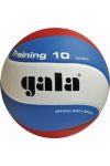 Gala Training 10 Volleyball