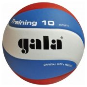 Gala Training 10 Volleyball