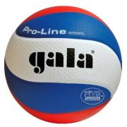   GALA BV 5591 S Pro Line Volleyball- mit TACTIC SPORT Logo versehen.Offzieller Wettkampfball der Nationalmeisterschaften in der 1. und 2. Klassen. 